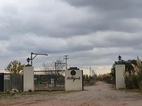 ROSALIA DE CASTRO MANZANA D 100