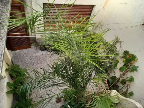 San Jerónimo 4400