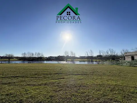 Lote - El Cazal -  A la laguna - Lote 187