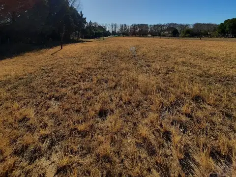 PRE-VENTA-LOTES COLONIA CAROYA-550m2