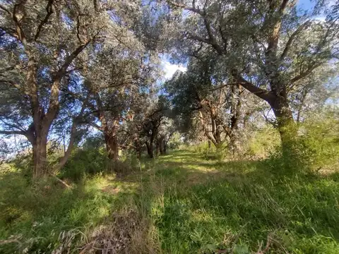 Calle 517 esquina 645 3900