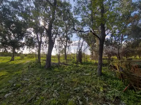 Hectáreas en Venta Ideal diversos rubros, El Pato