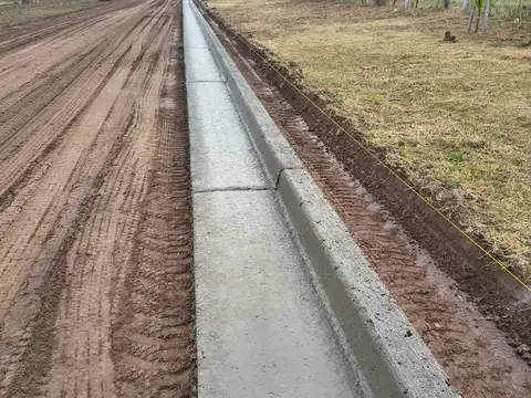 El Calden 5600