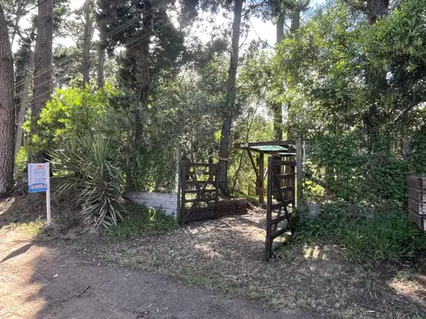 necochea entre 37 y 38