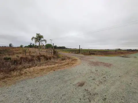 VENTA DE 16HA DE CAMPO EN IBARLUCEA