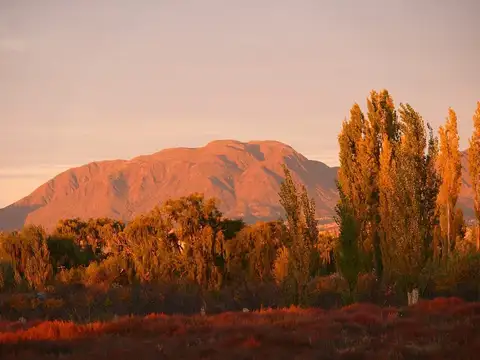 Terreno Campo  en Venta en Rama Caída, San Rafael, Mendoza, Argentina