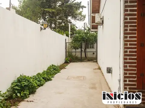 Lobo De Mar 100