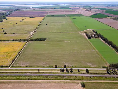 Campo 45 ha sobre ruta 21- Pavón, Santa fe.