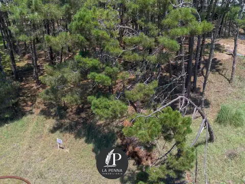 Terreno en Venta 41  mts Fondo