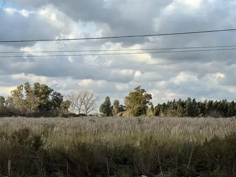 Campo en Venta Industrialización