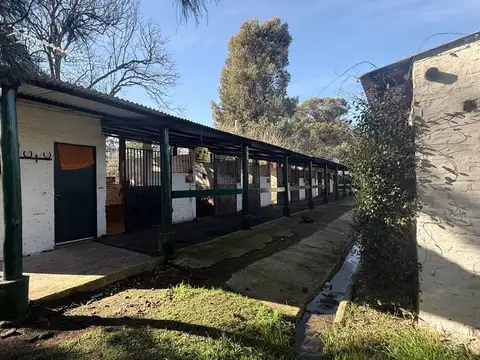 VENTA DE TERRENO INTERNO DE 1600 MT2 EN CASUARINAS