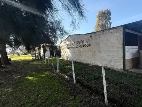 Casuarinas 1
