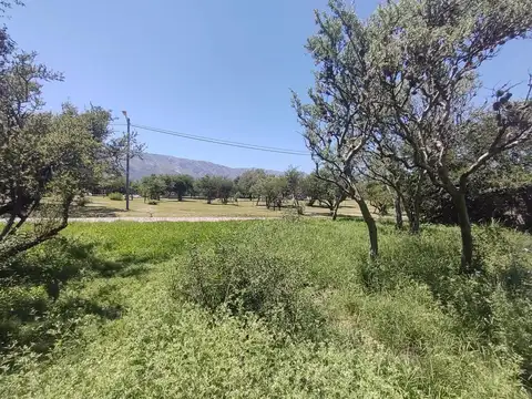 Terreno en Venta, FOS 0,5