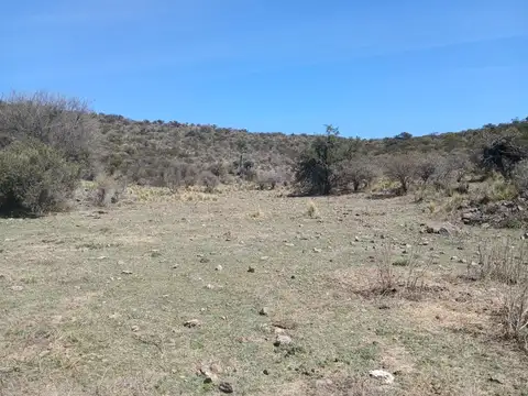 VENTA - Campo en Cordoba