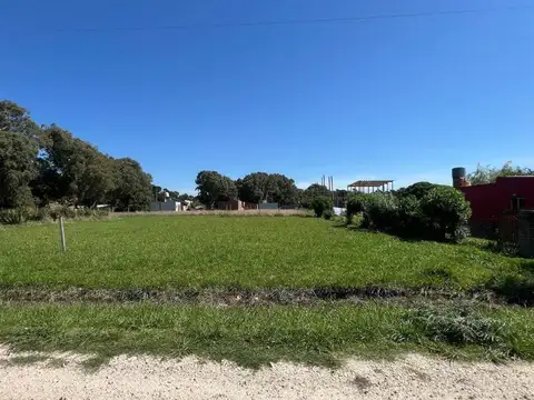 El Cardenal