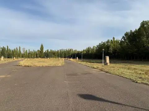Terreno en Venta en Plottier, USD 45.000