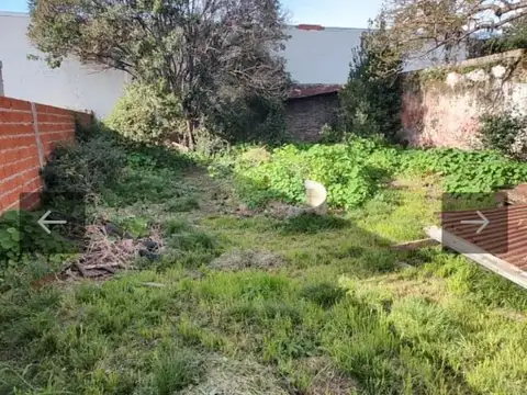 Rivadavia 800