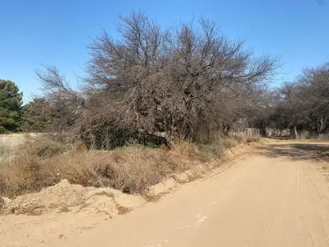 Lote sobre Avutarda y Chuña