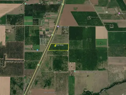 Campo en venta zona rural Soldini