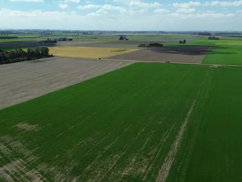 Campo en venta zona rural Soldini