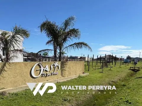 Oasis De San Vicente