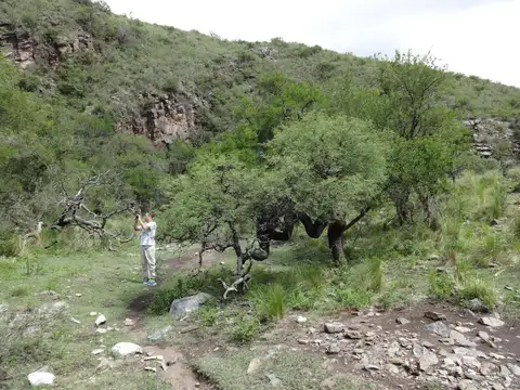 Terreno en Venta de 700000,0 m2