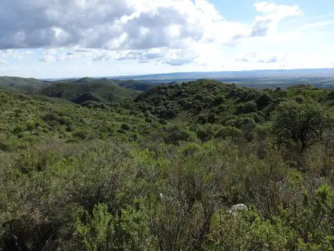LA CUESTA DEL HUACO - AMBUL