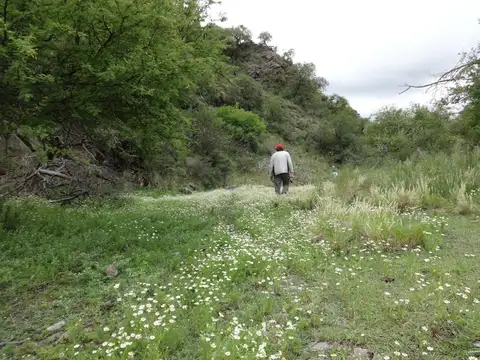 VENTA CAMPO TERRENO  CON ARROYO - AMBUL - CORDOBA - TRAS LAS SIERRAS