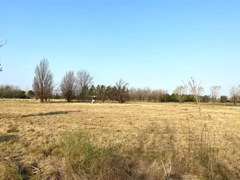 Campo - Venta - Argentina, Luján - Ruta Provincial 47