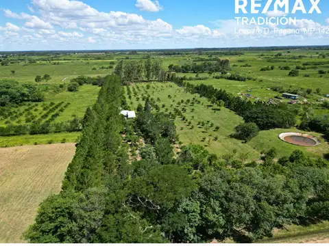 Quinta en Venta en Colonia Benítez, USD 180.000
