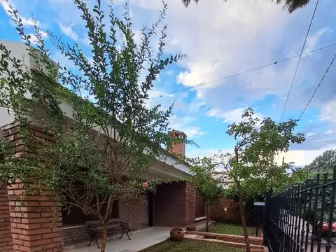 Saravia 300