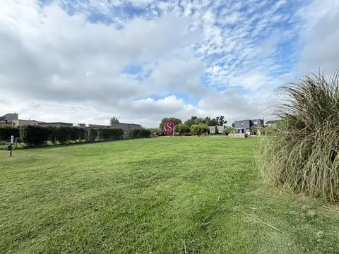 San Ramiro - Pilar del Este 100