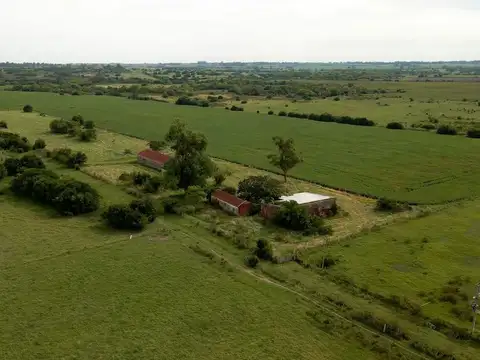 Venta Campo hasta 530 Hás -Canelones sobre Ruta 62