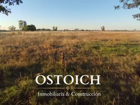 77 HAS EN VENTA - Santa Lucía