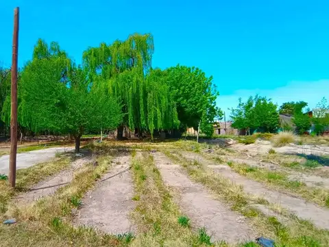 Terreno en Venta de 59565,0 m2
