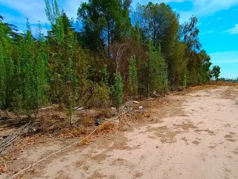 Terreno en Venta en Lujan De Cuyo, USD 2.400.000