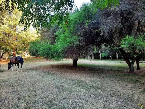 Chacras del Paraná - Terreno