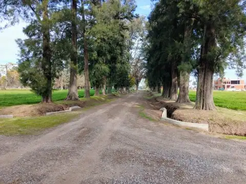 Terreno en Venta de 950,0 m2