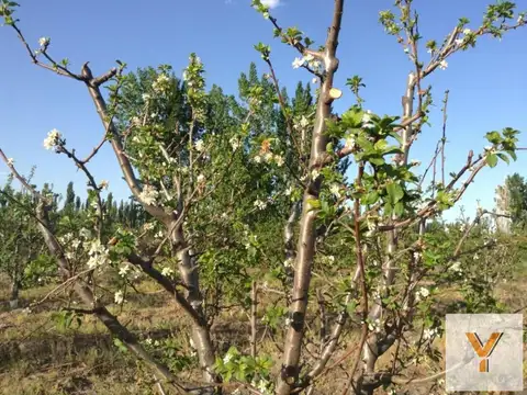 Terreno en Venta de 140000,0 m2