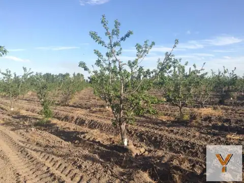 Terreno en venta - 2 Dormitorios 1 Baño - Cañada Seca