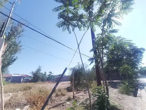 Palacios César 1000