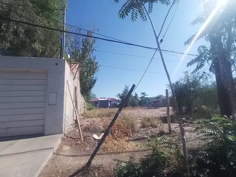 Palacios César 1000