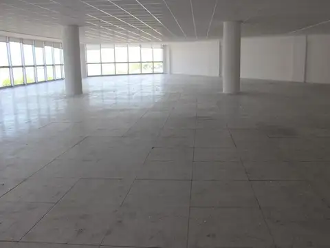 Oficina en Alquiler 1 año