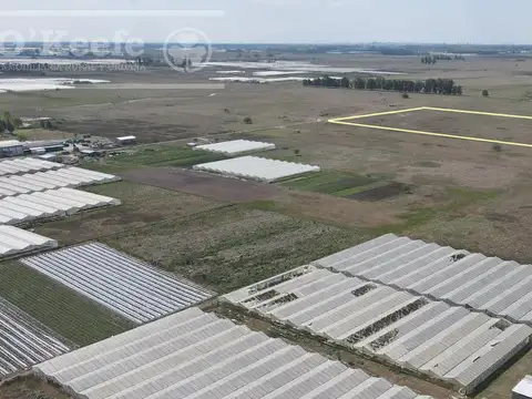 Chacra Hortícola en Venta - La Plata 3.6  has
