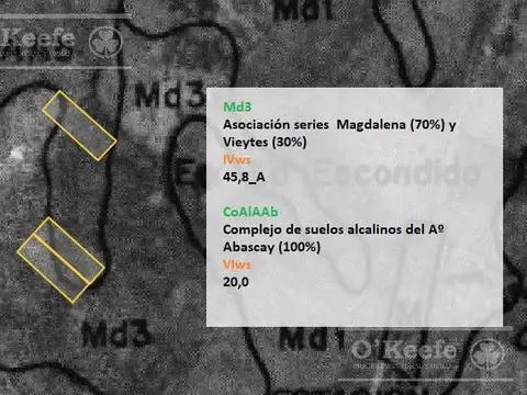 CHACRA HORTICOLA DE 3,6  ha EN VENTA