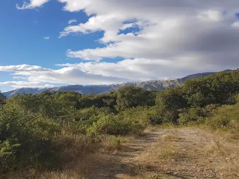 Lote en venta de 5142 m2 Carpinteria San Luis