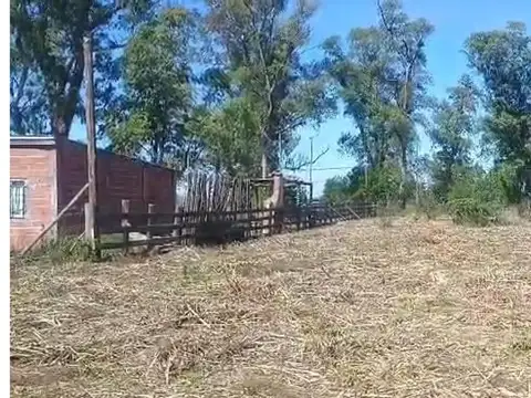Terreno en Venta 50  mts Fondo