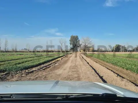 Terreno en Venta en 3 de Mayo, USD 70.000