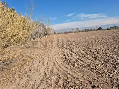 Terreno en Venta en 3 de Mayo, USD 60.000