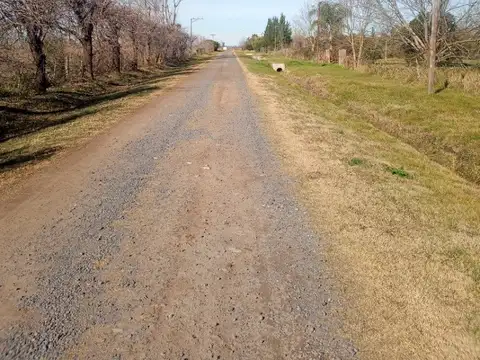 Gran terreno de 8.550 m2 en Piñero ( a metros de Ruta AO12 )